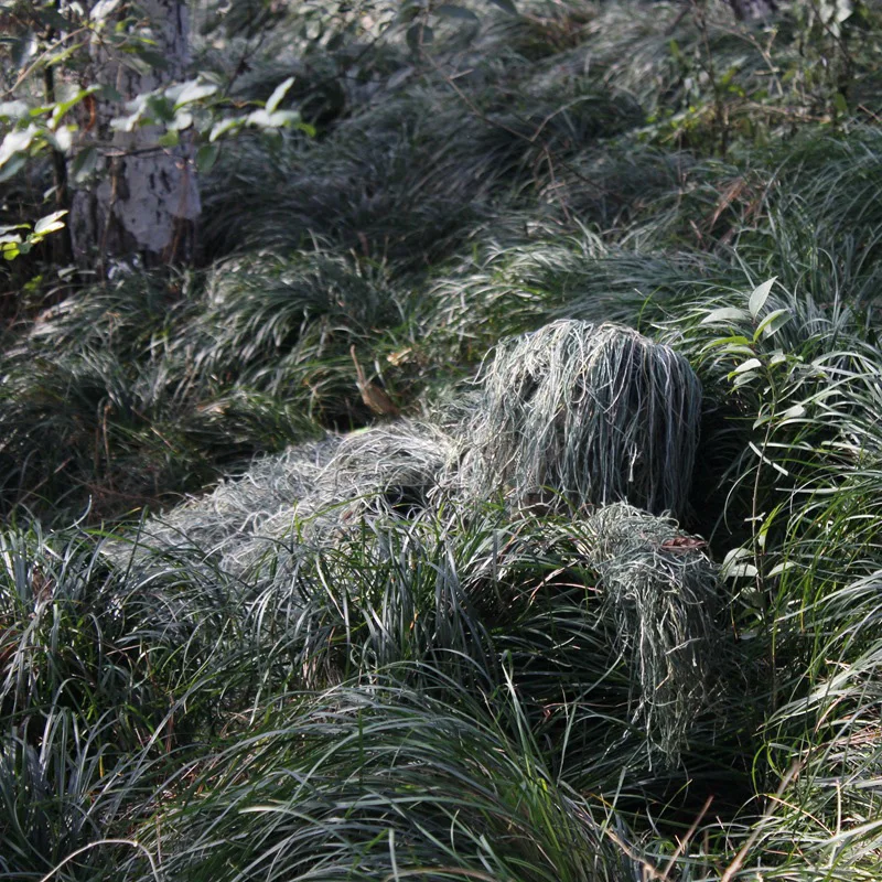 5Pcs Adult Ghillie Suit Kids H - Ghillie Suit Woodland review and price